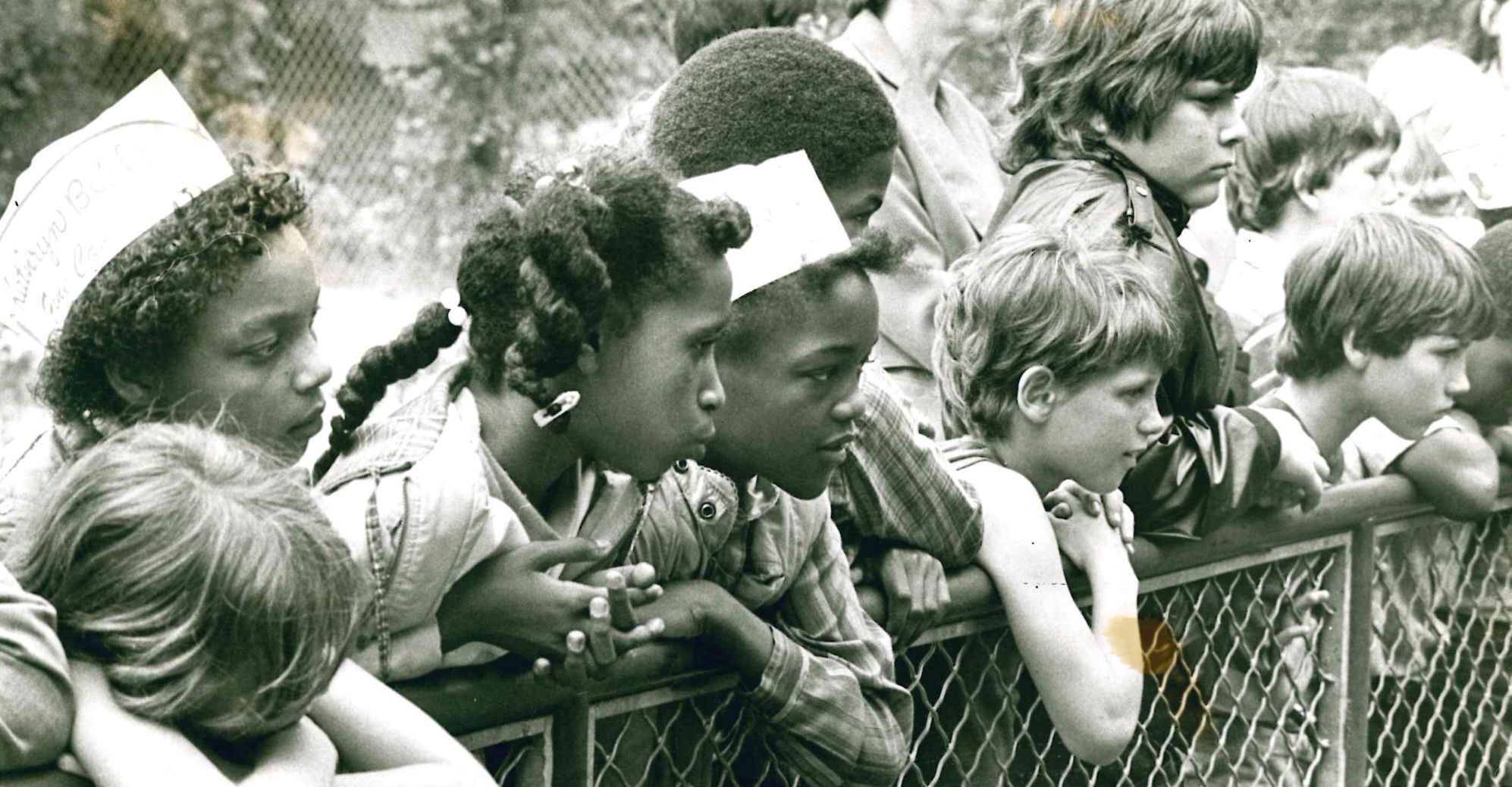 Students and big cats
